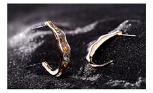 Load image into Gallery viewer, Multicolour Rhinestone Earrings