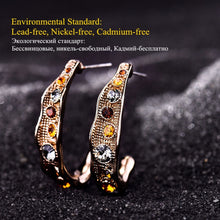 Load image into Gallery viewer, Multicolour Rhinestone Earrings