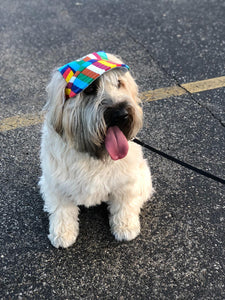 Sun Hat For Pets